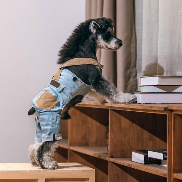 宠物狗狗衣服时尚背带裤子牛仔裤泰迪比熊小型犬潮牌